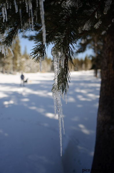 icicles along the trail2010d09c015.jpg